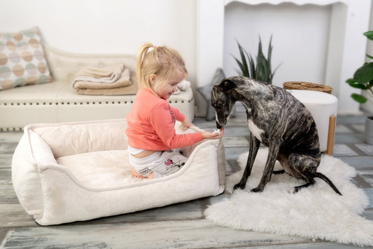 Wie man Kindern beibringt, sich sicher gegenüber Hunden zu verhalten