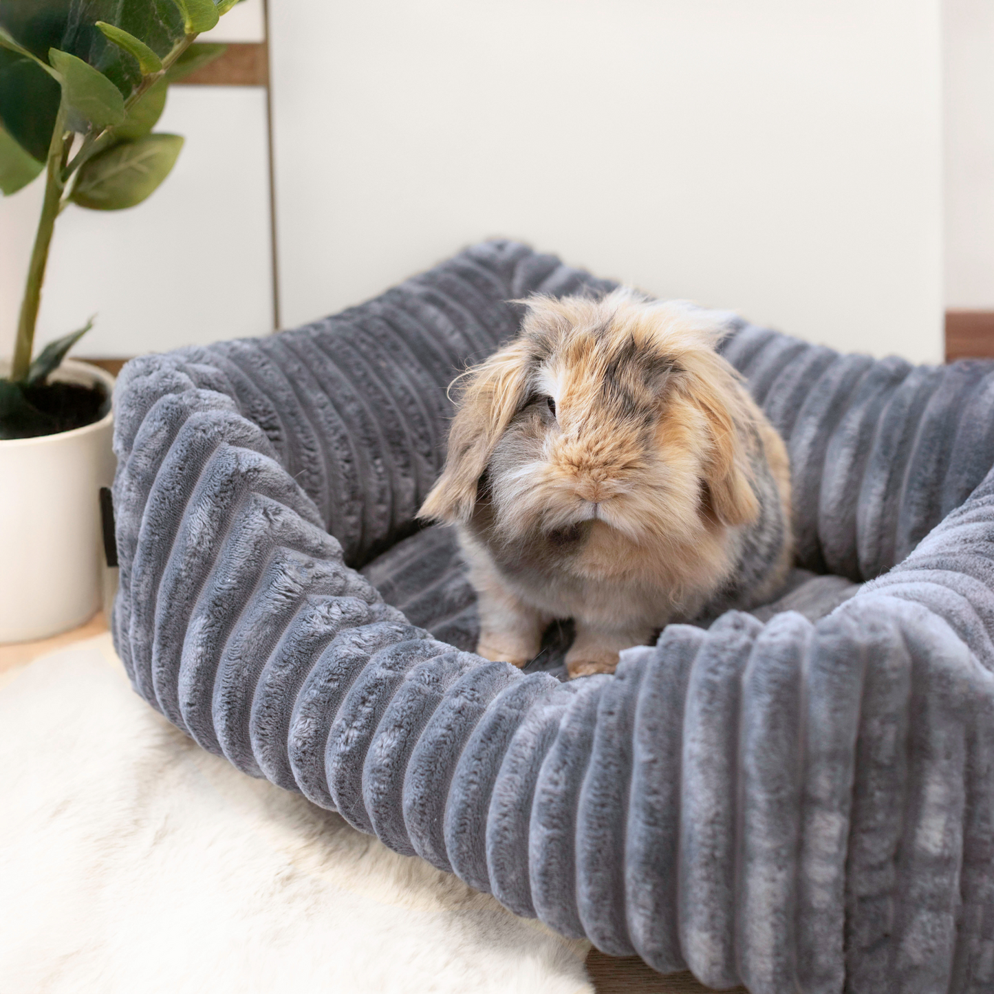 Bella Plüsch-Hundebett PREMIUM-LINE