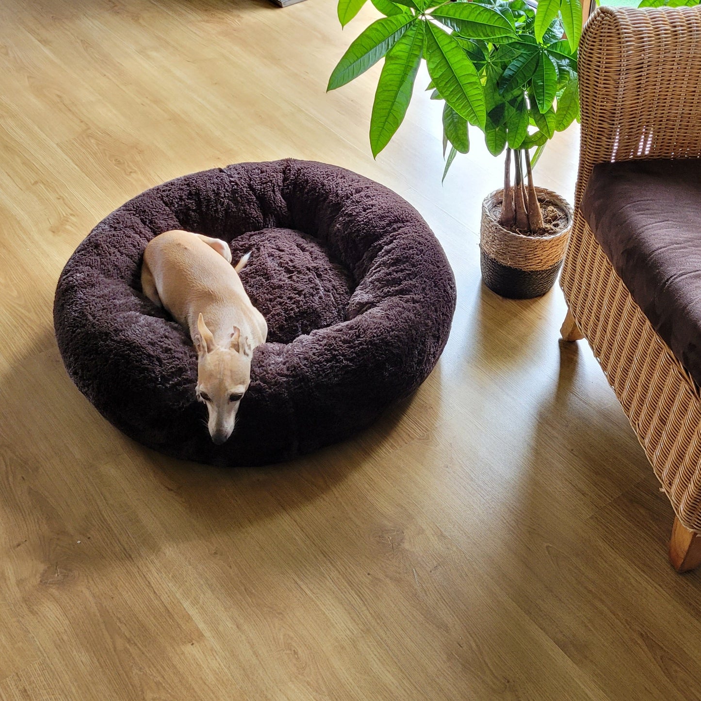 FUZZY Kuscheliges Hundebett Donut Braun