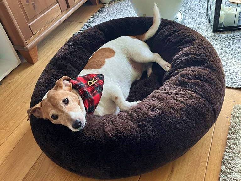 FUZZY Kuscheliges Hundebett Donut Braun