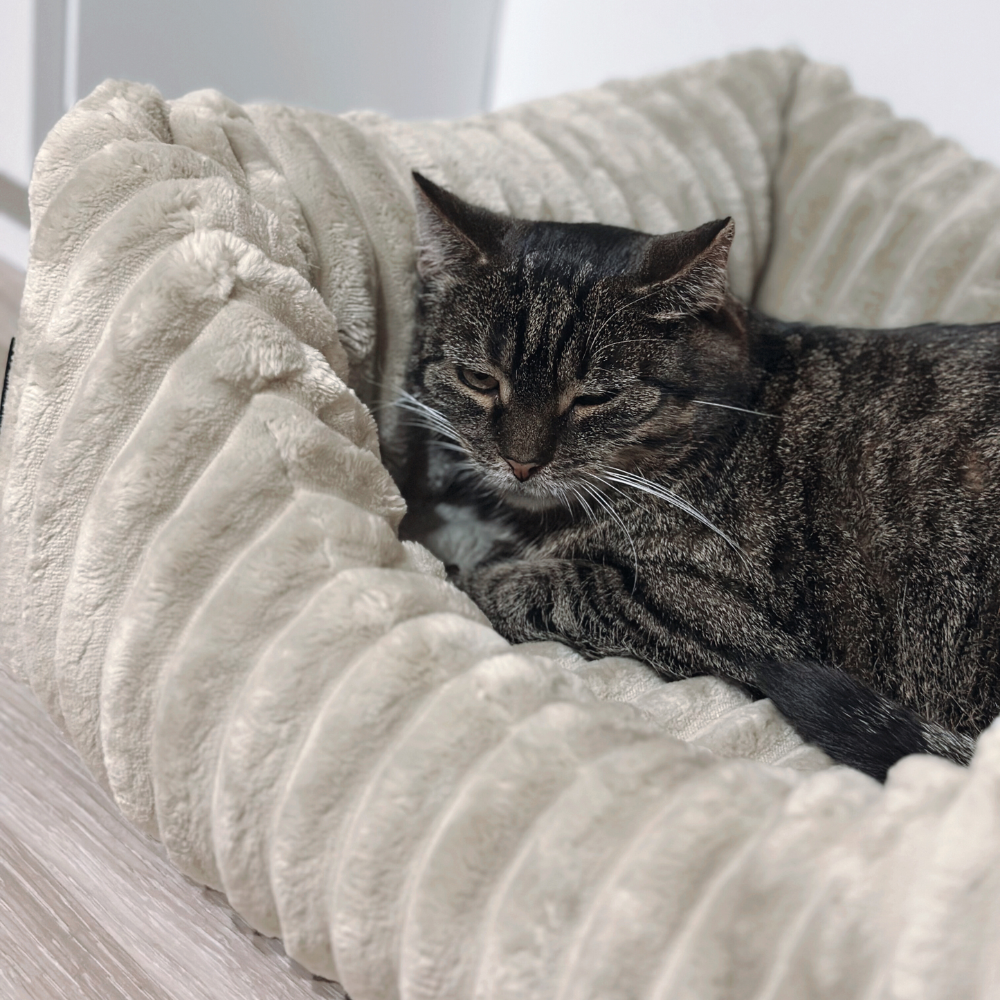 BELLA Plüsch-Katzenbett