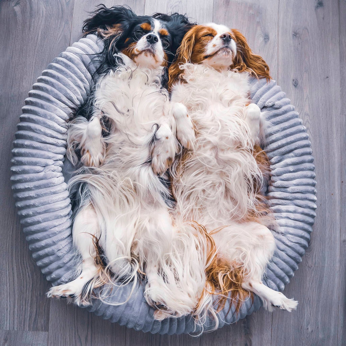 LUNA Weiches Hunde- oder Katzenbett