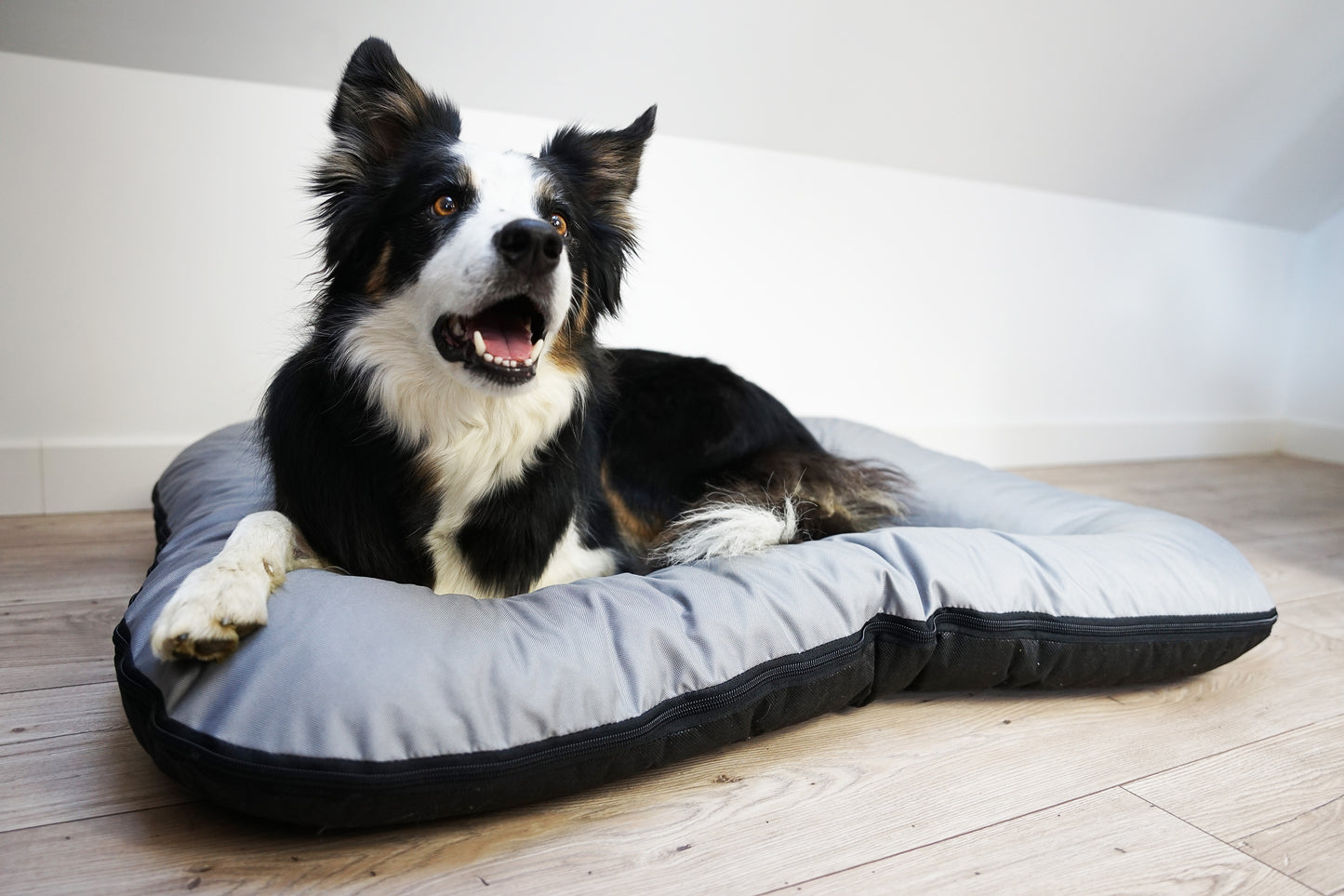 KLEO Wasserdichtes Hundebett