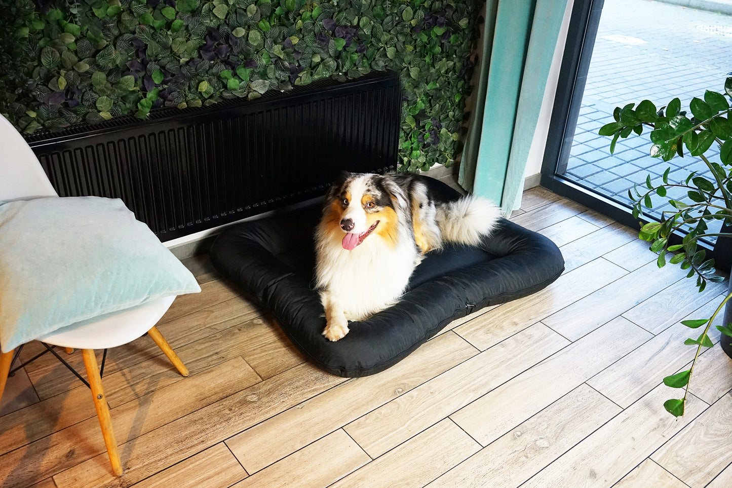 KLEO Wasserdichtes Hundebett