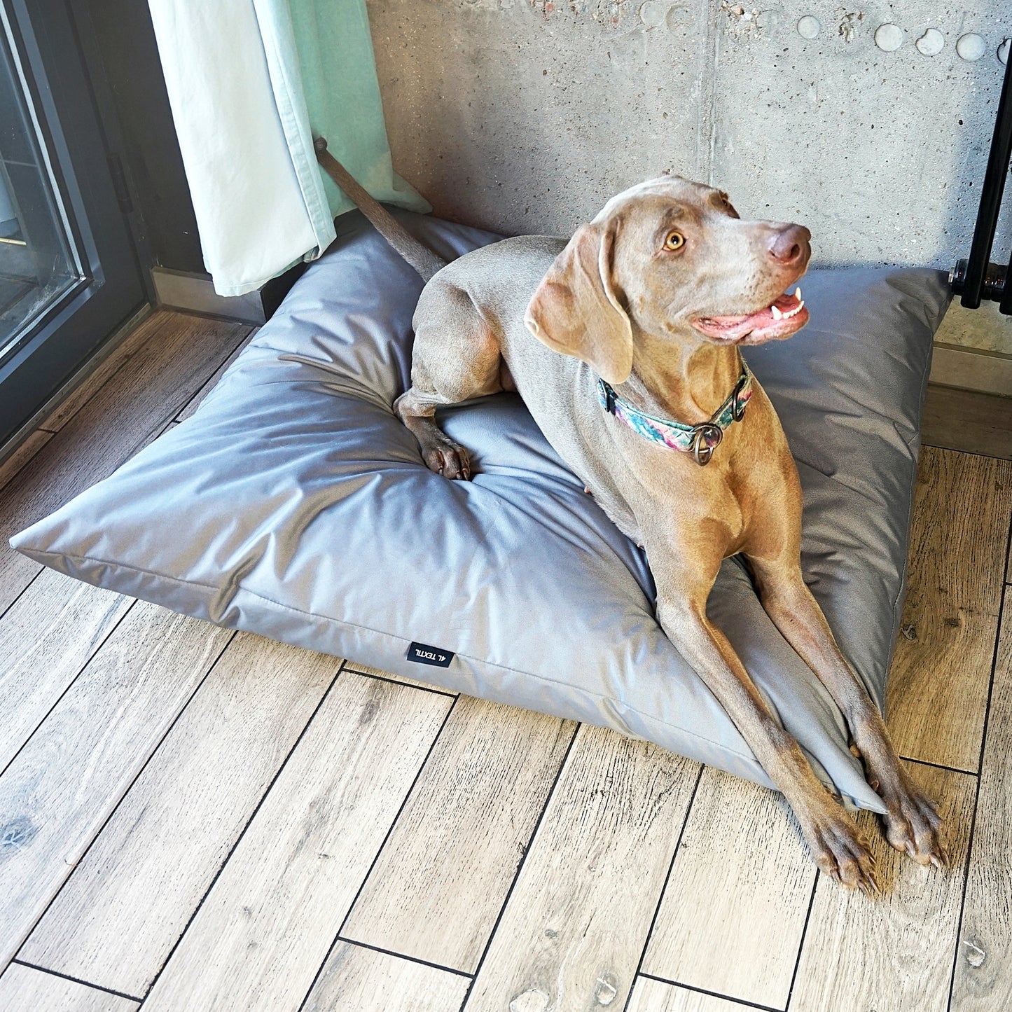 ZOE Wasserabweisendes Hundekissen mit Bezug