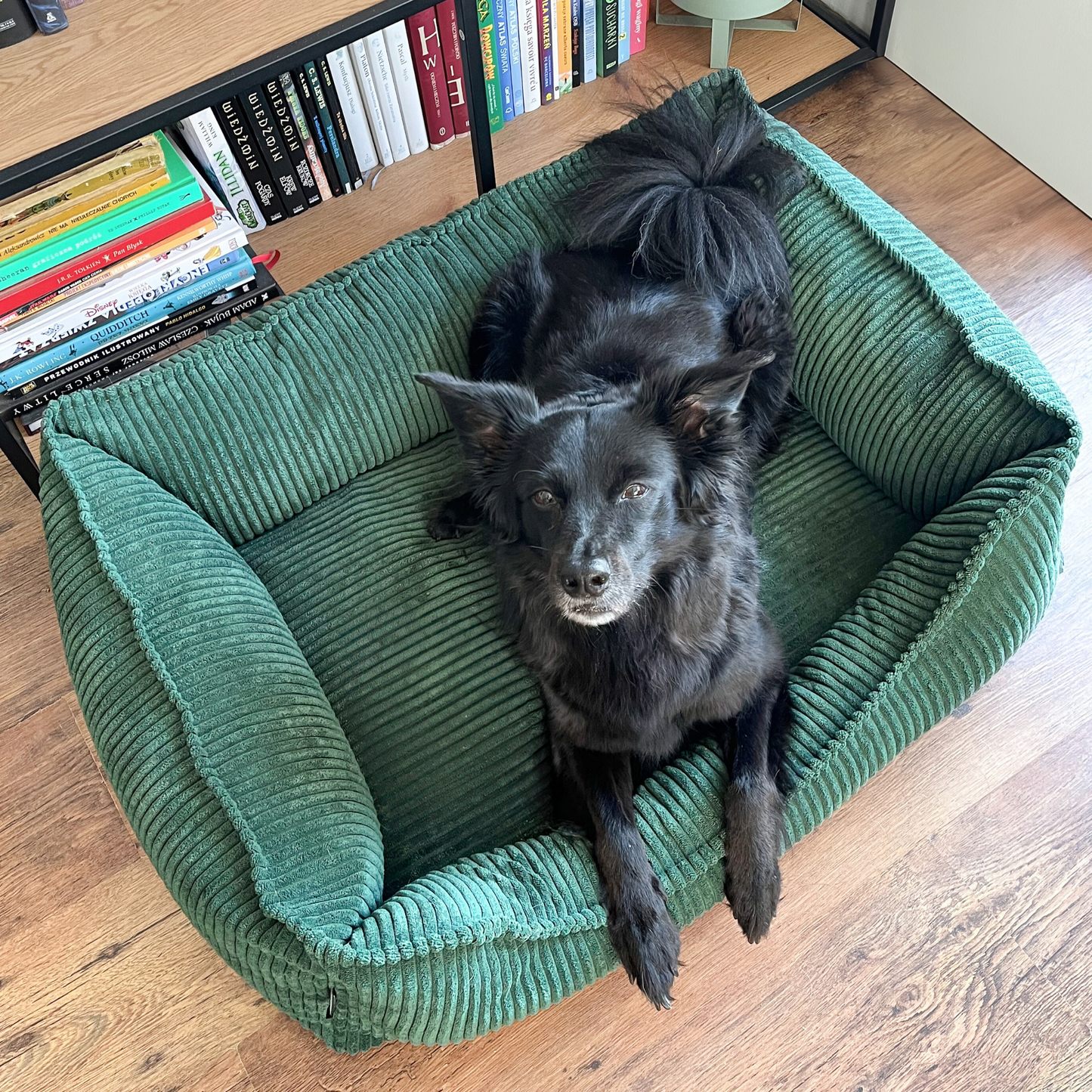 HUGO Orthopädisches Hundebett aus Cord PREMIUM-LINE