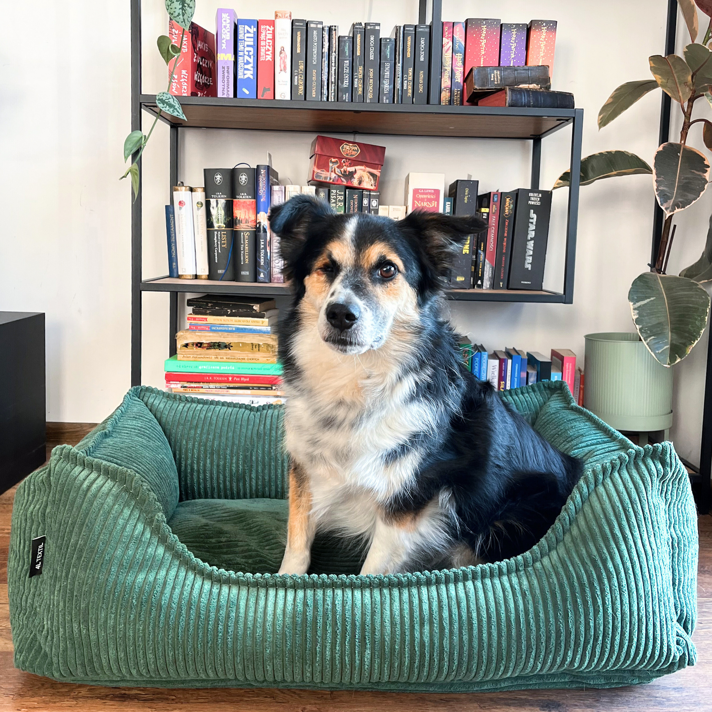 HUGO Orthopädisches Hundebett aus Cord PREMIUM-LINE