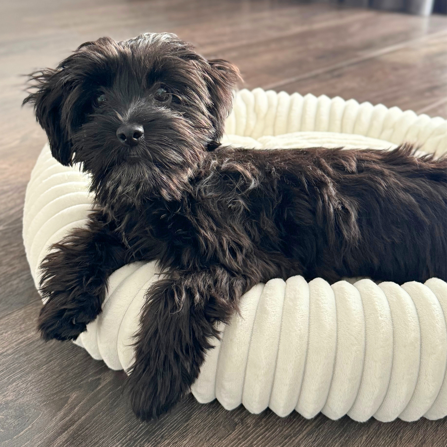 LUNA Weiches Hunde- oder Katzenbett