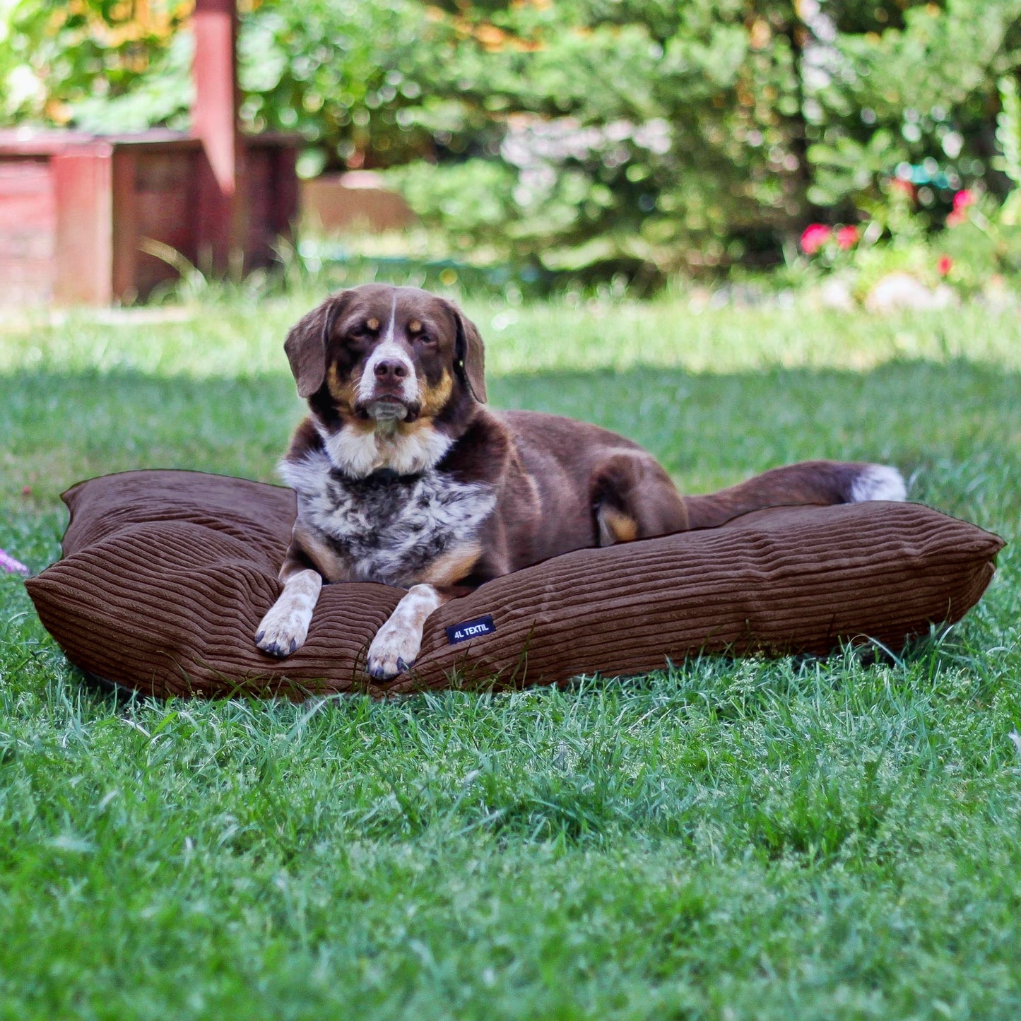 MOLLY Hundekissen aus Cord mit Bezug