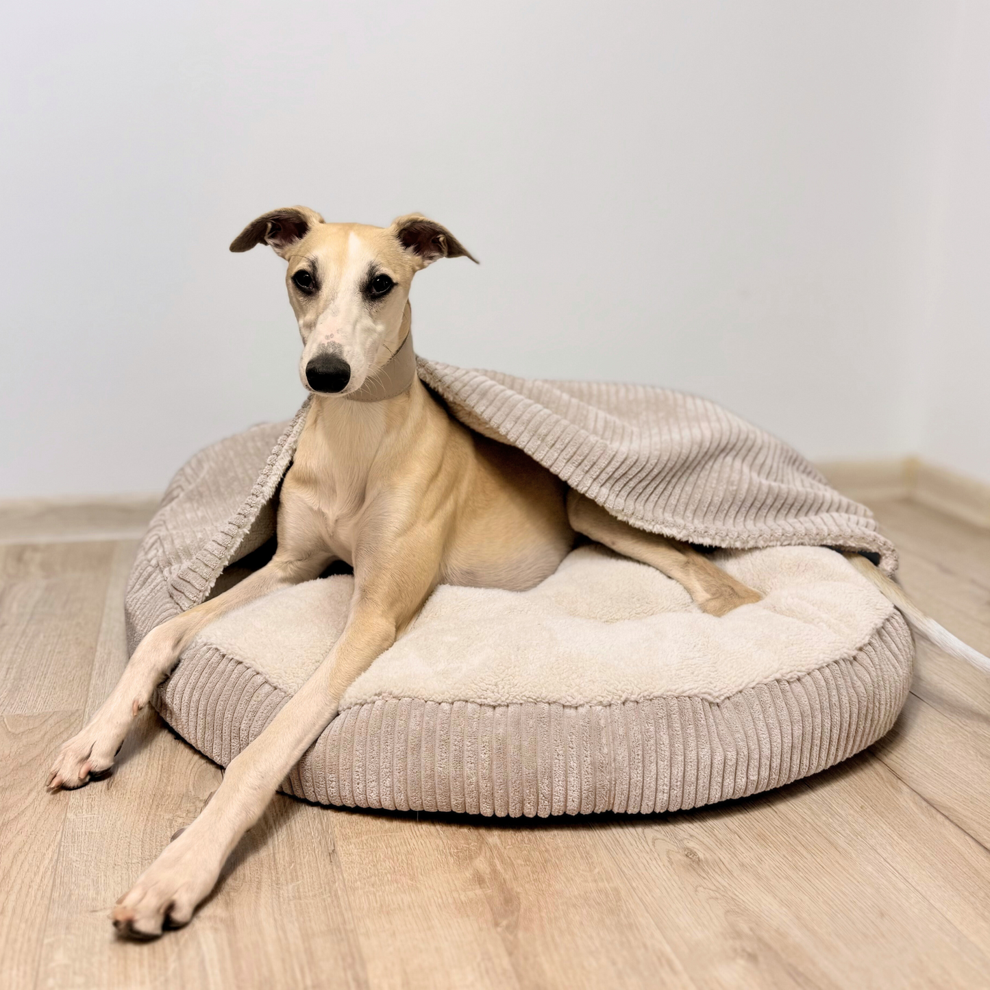 VIGO Hundebett mit Kapuze