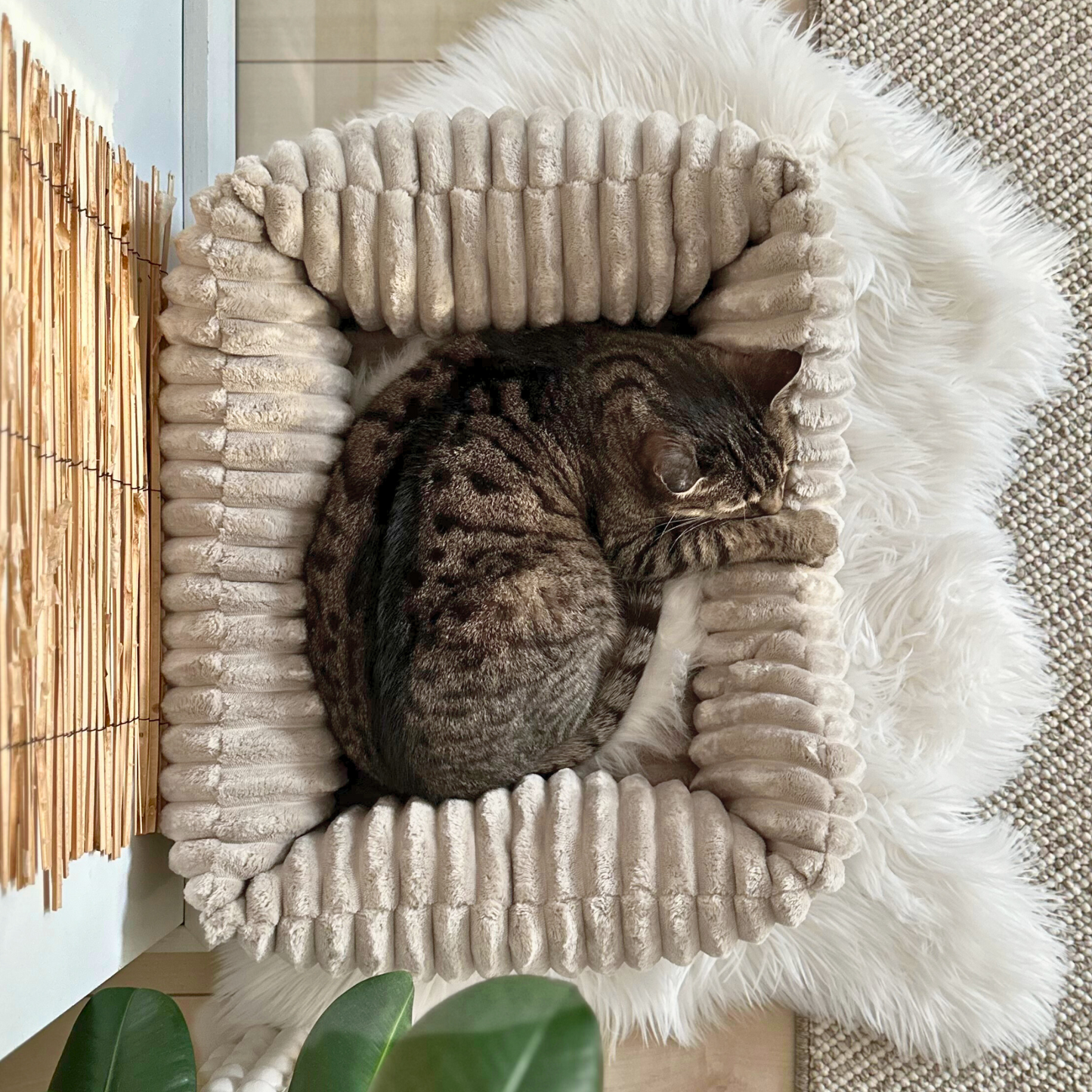BELLA Plüsch-Katzenbett