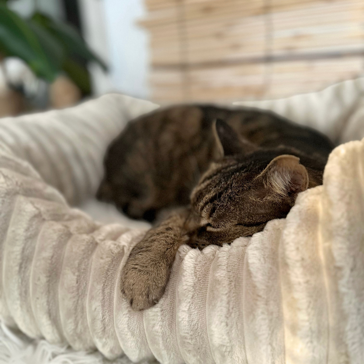 BELLA Plüsch-Katzenbett