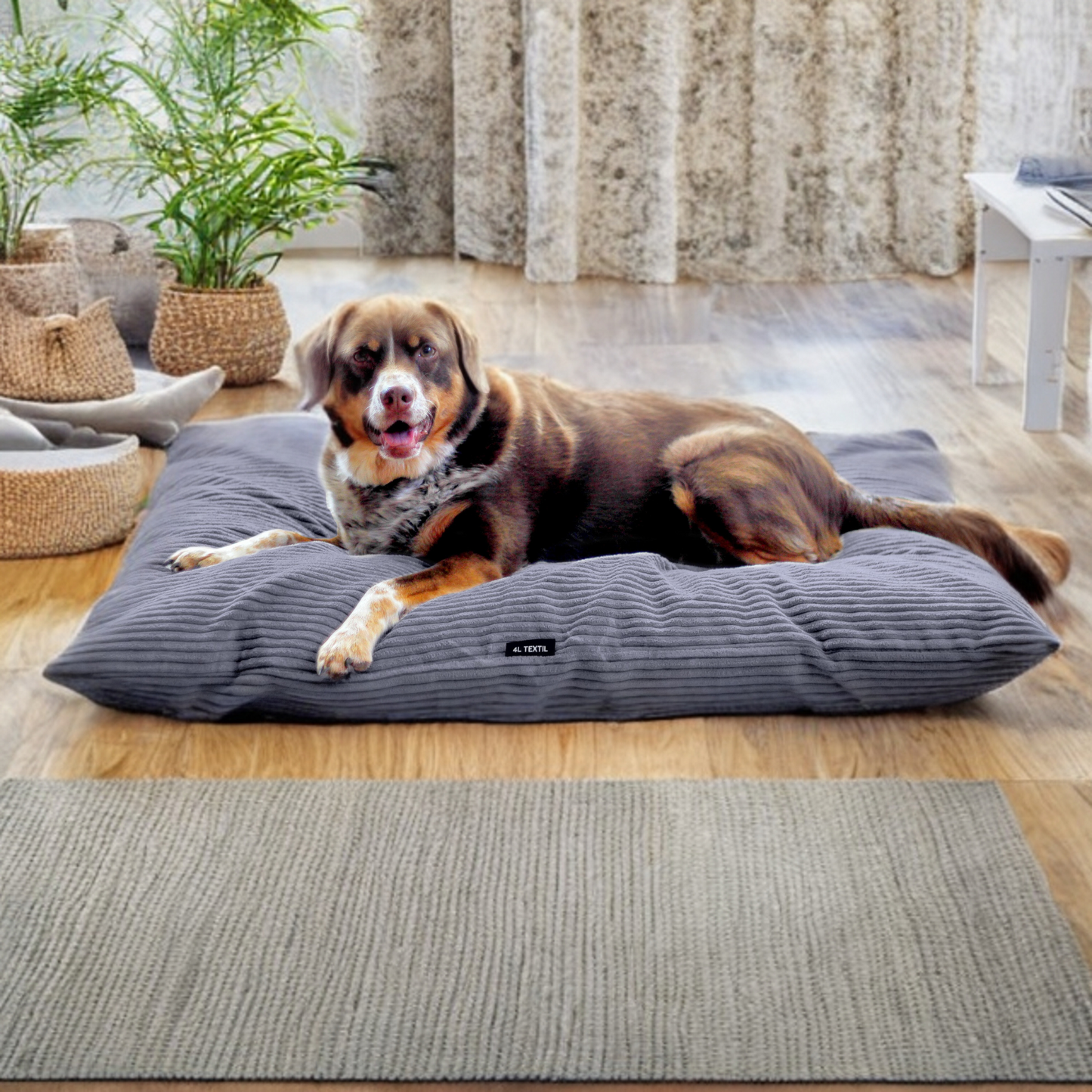 MOLLY Hundekissen aus Cord mit Bezug