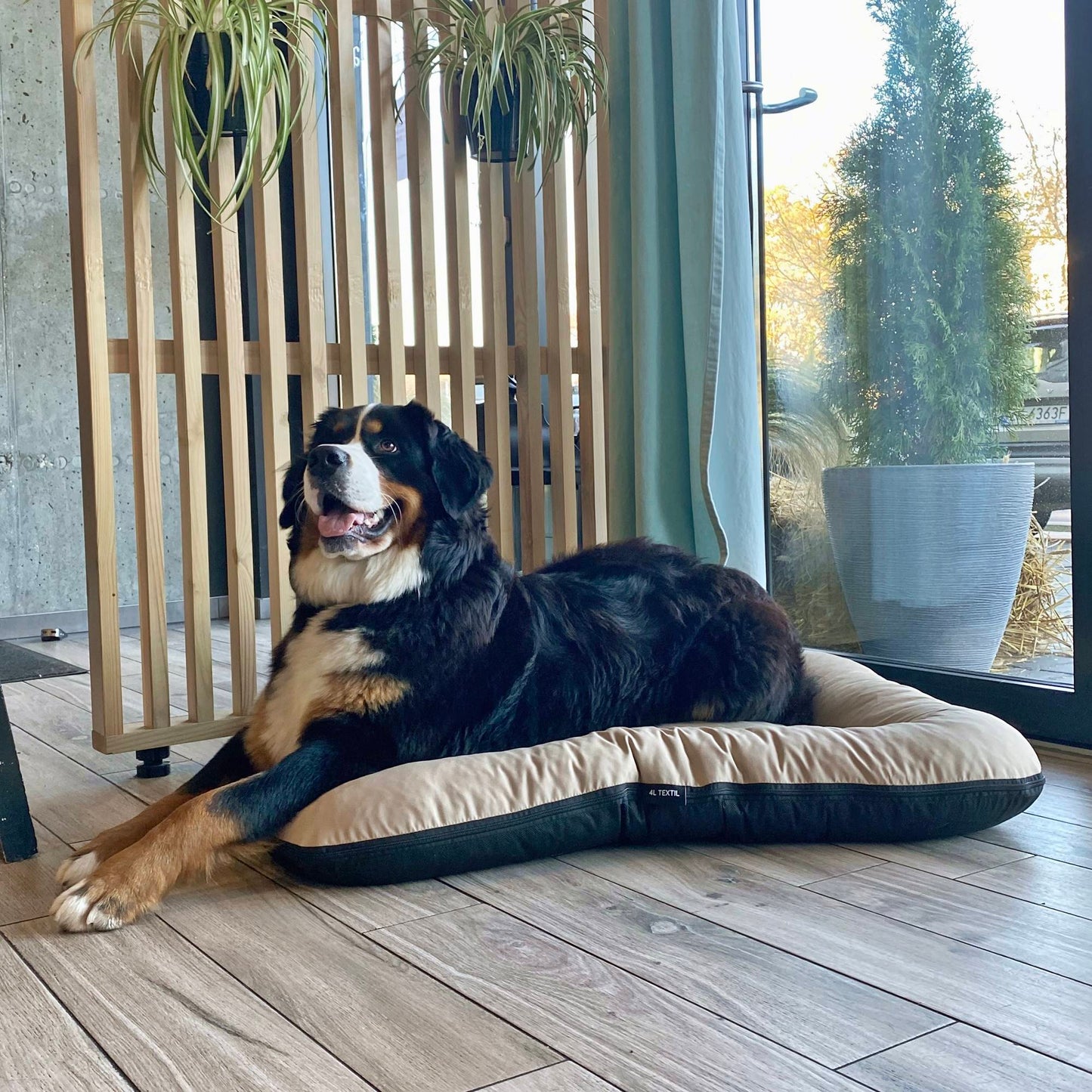 KLEO Wasserdichtes Hundebett