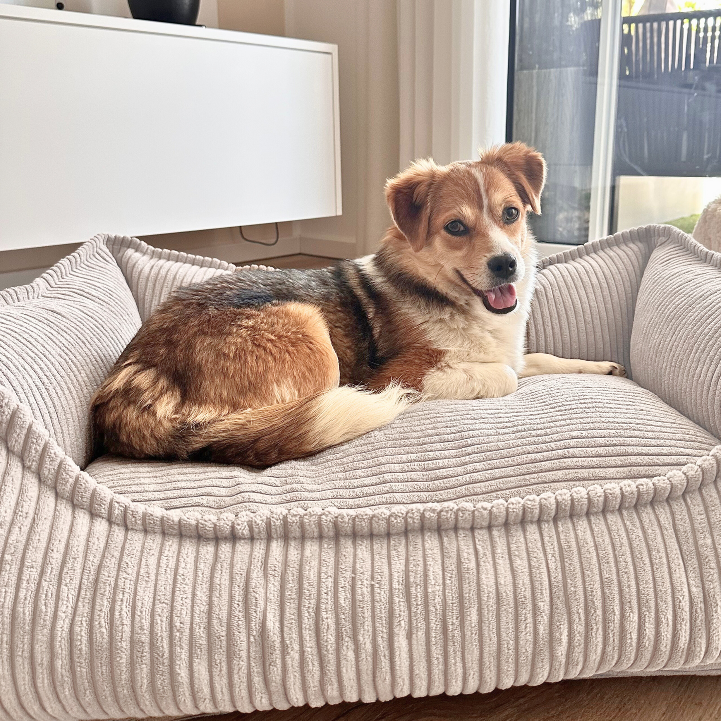 HUGO Orthopädisches Hundebett aus Cord PREMIUM-LINE