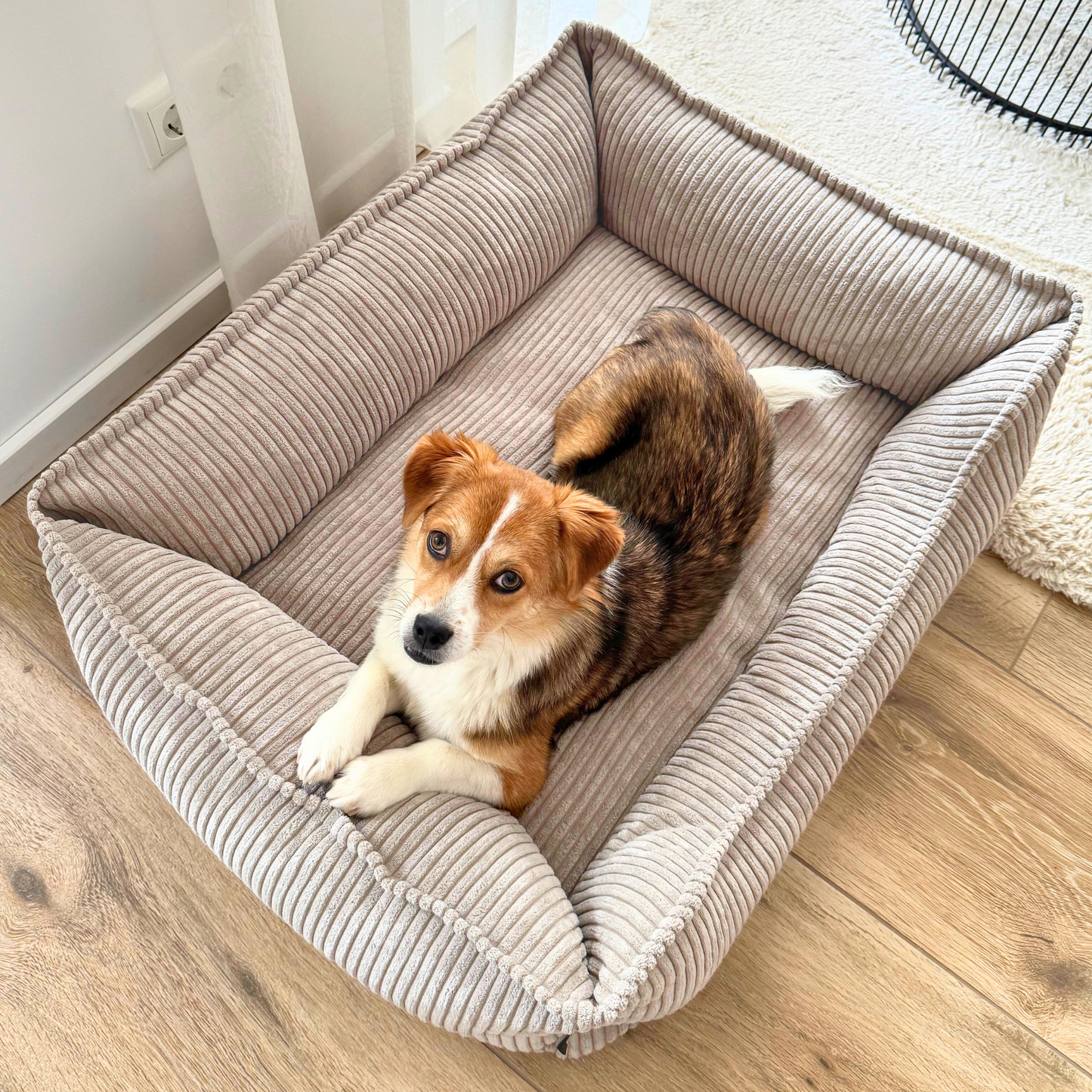 HUGO Orthopädisches Hundebett aus Cord PREMIUM-LINE