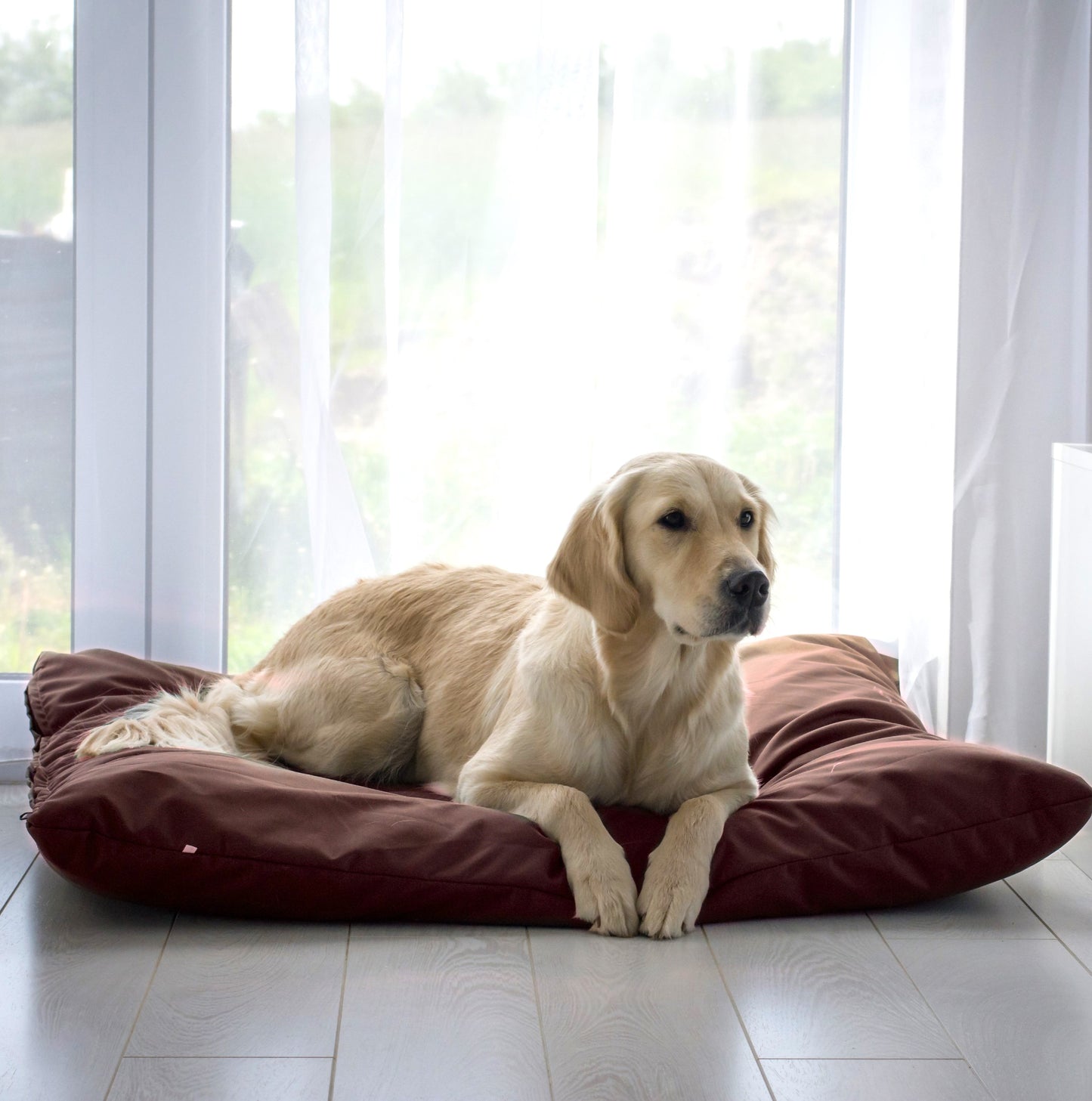 ZOE Wasserabweisendes Hundekissen mit Bezug