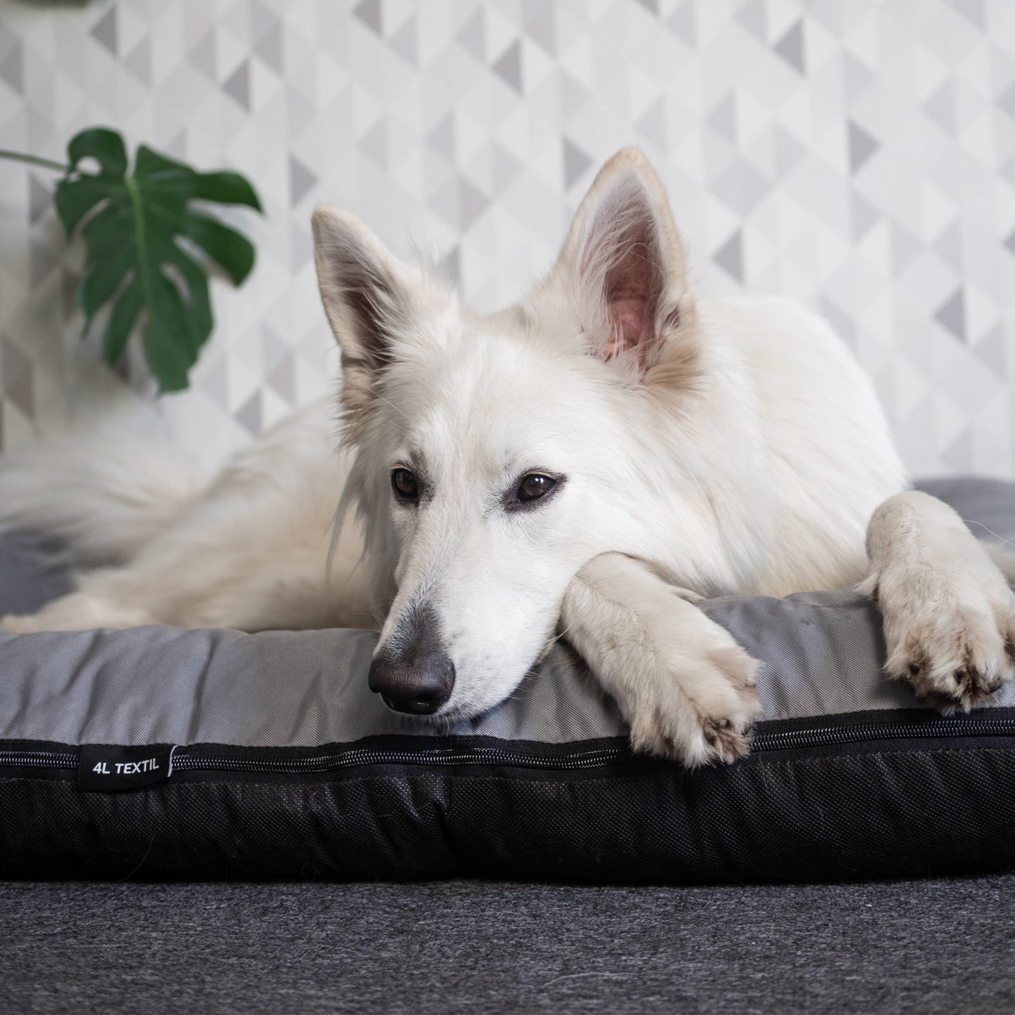 KLEO Wasserdichtes Hundebett