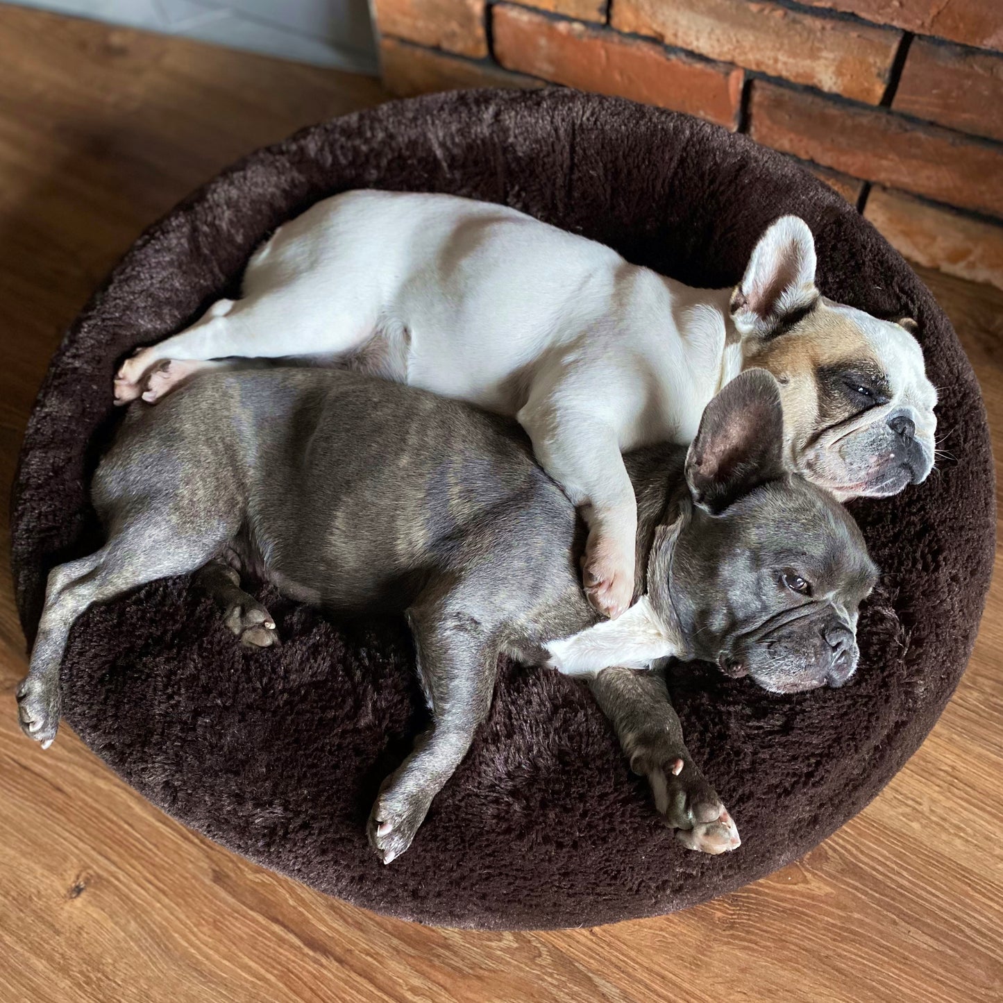 FUZZY Kuscheliges Hundebett Donut Braun