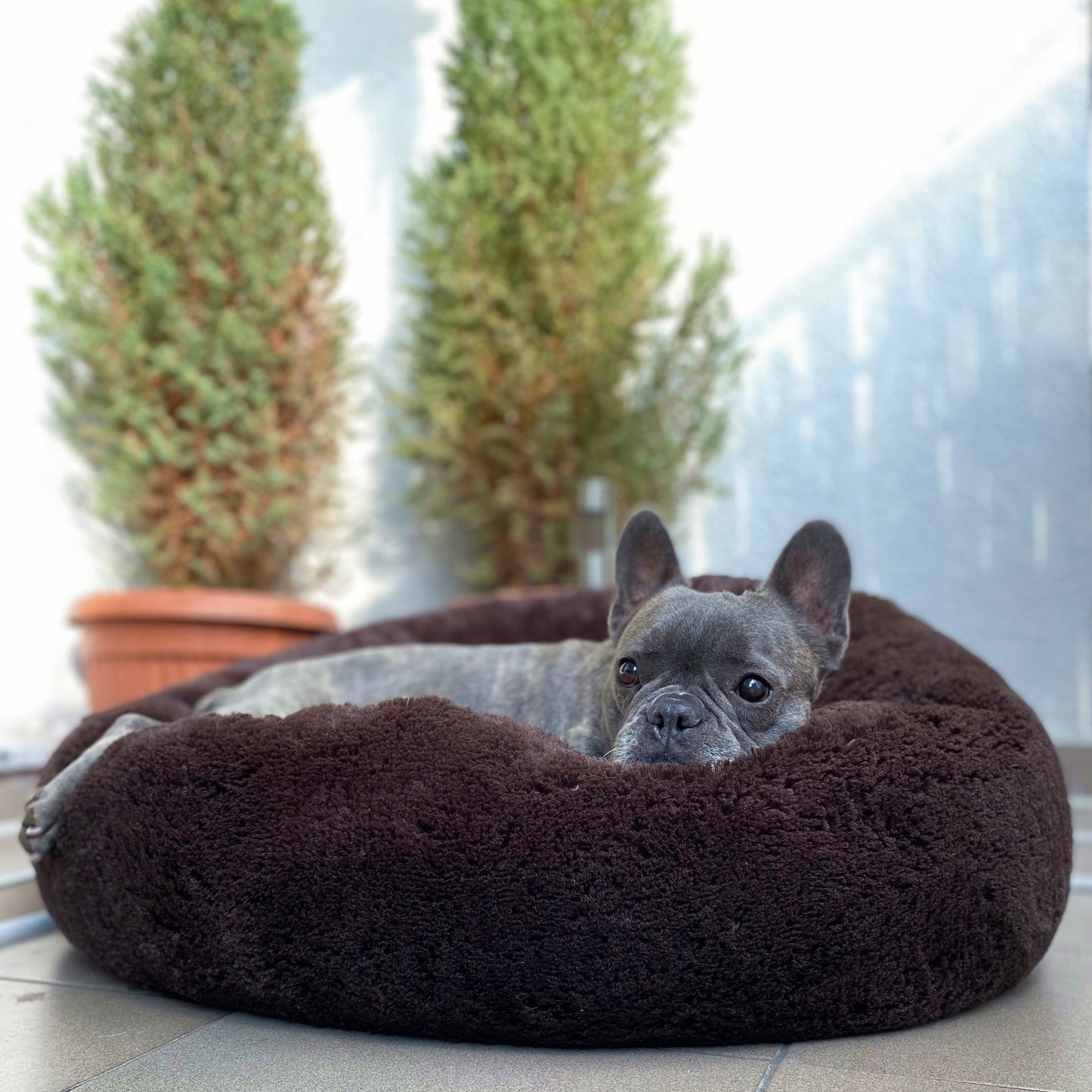 FUZZY Kuscheliges Hundebett Donut Braun