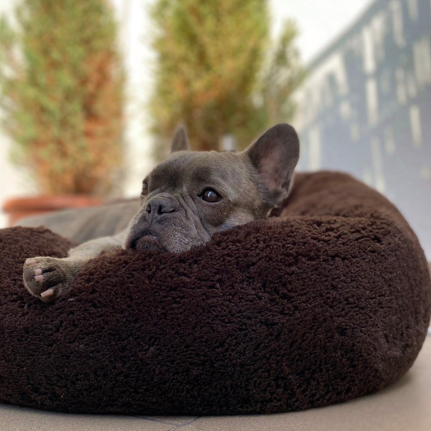 FUZZY Kuscheliges Hundebett Donut Braun