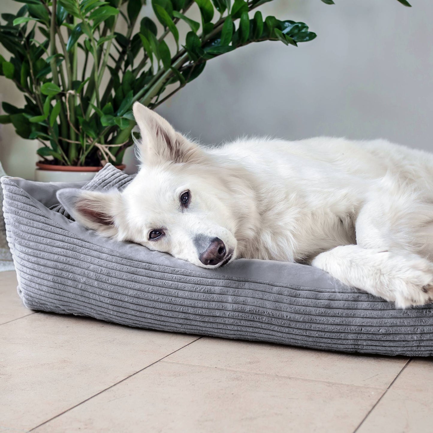 MOLLY Hundebett aus Cord
