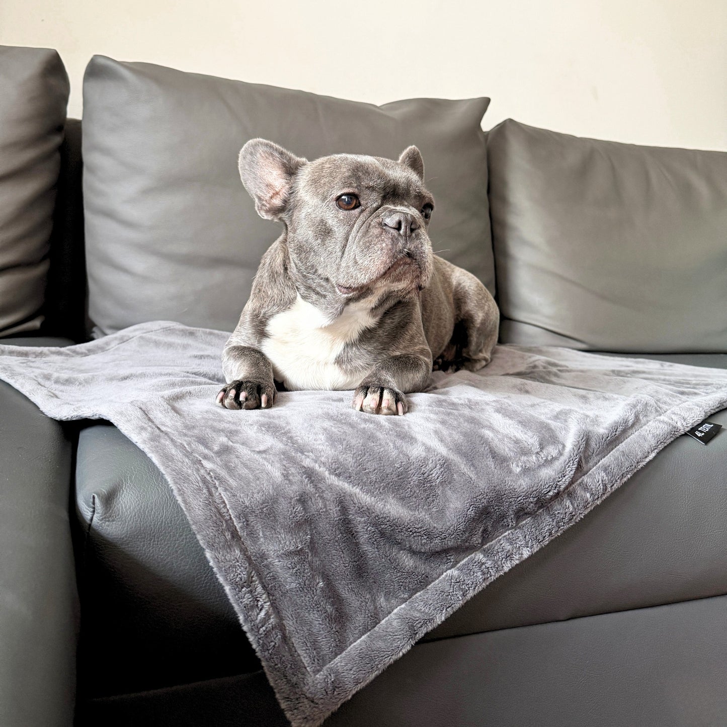 Kuschelige Decke für Hunde oder Katzen