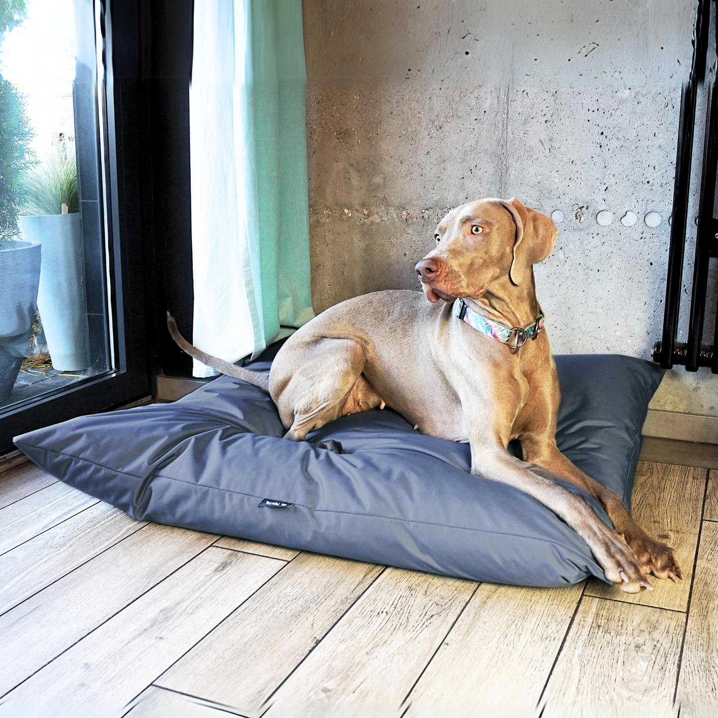 ZOE Wasserabweisendes Hundekissen mit Bezug