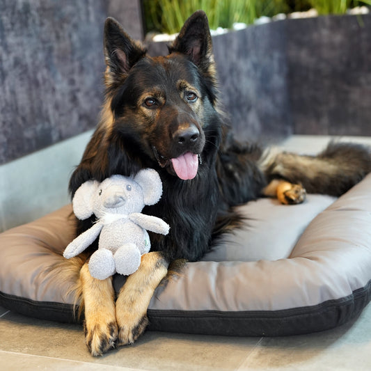 SCHLUSSVERKAUF ELLA Hundematratze aus Kunstleder, Größe 130x110 cm, Farbe: Grau