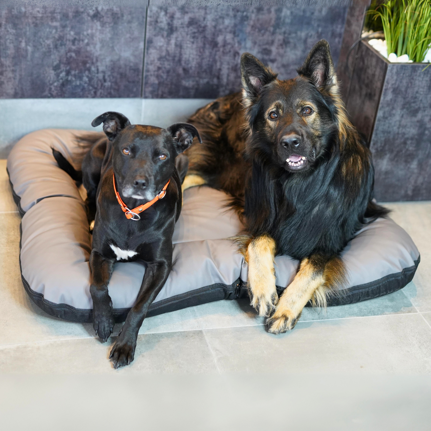 SCHLUSSVERKAUF ELLA Hundematratze aus Kunstleder, Größe 130x110 cm, Farbe: Grau