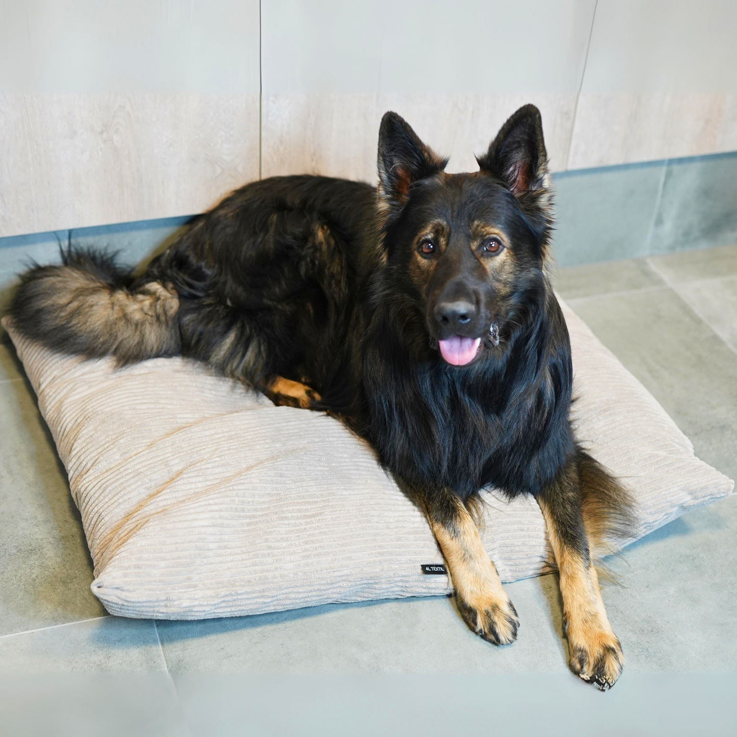 MOLLY Hundekissen aus Cord mit Bezug
