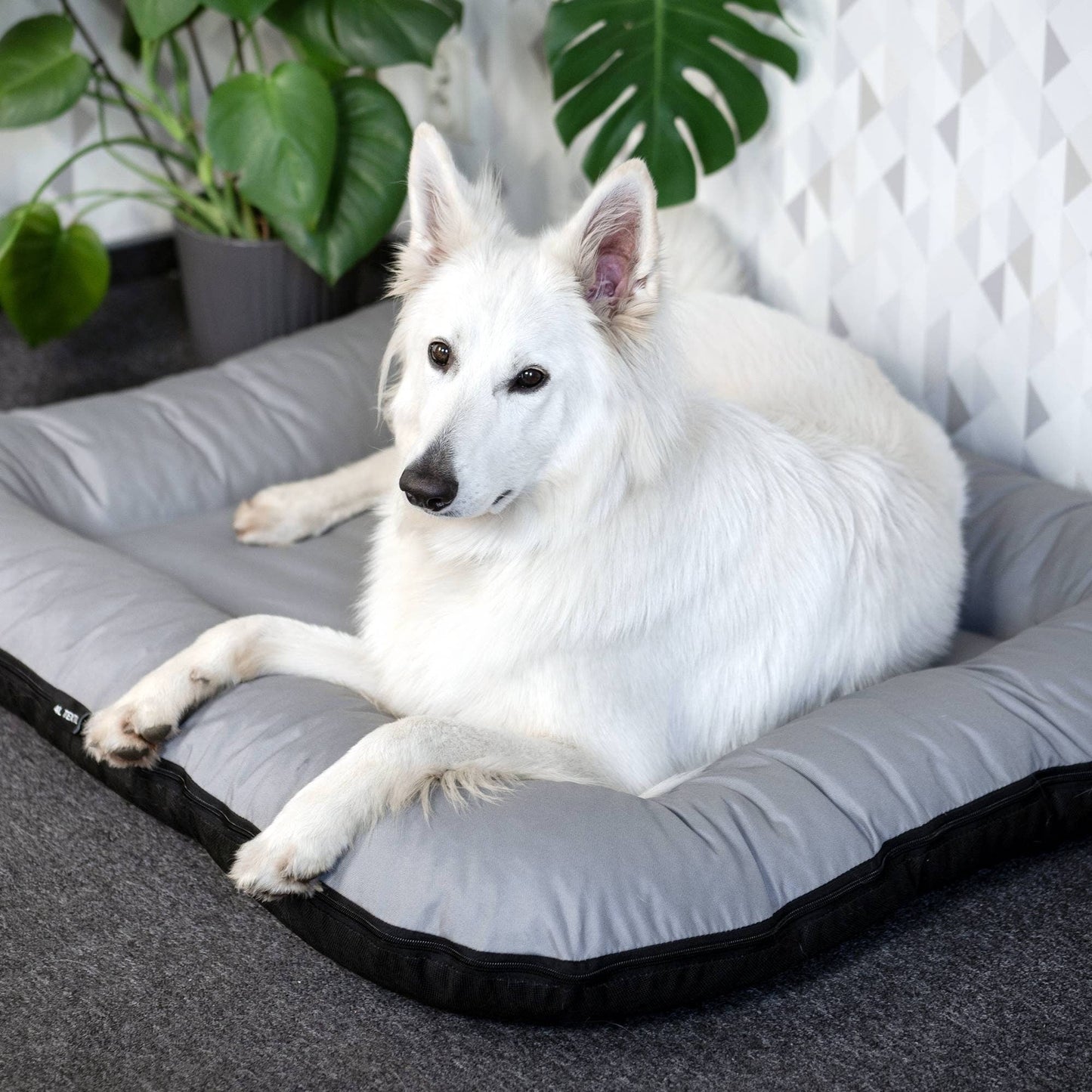 KLEO Wasserdichtes Hundebett