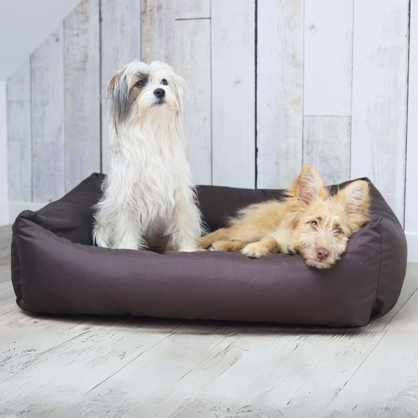 KOKO Wasserabweisendes Hundebett