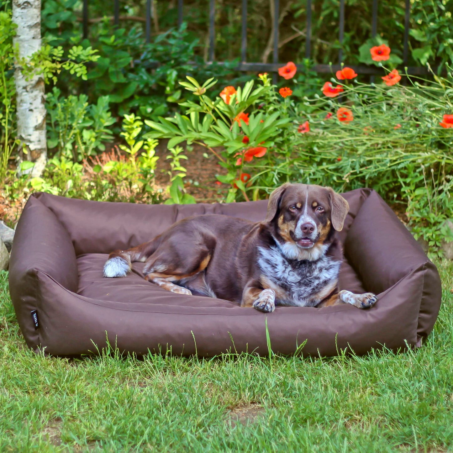 KOKO Wasserabweisendes Hundebett