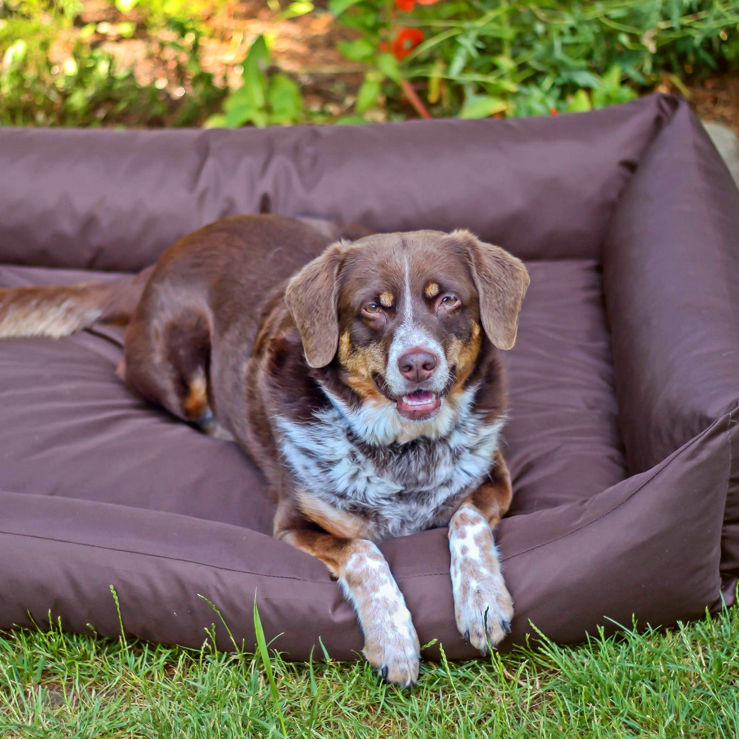 KOKO Wasserabweisendes Hundebett
