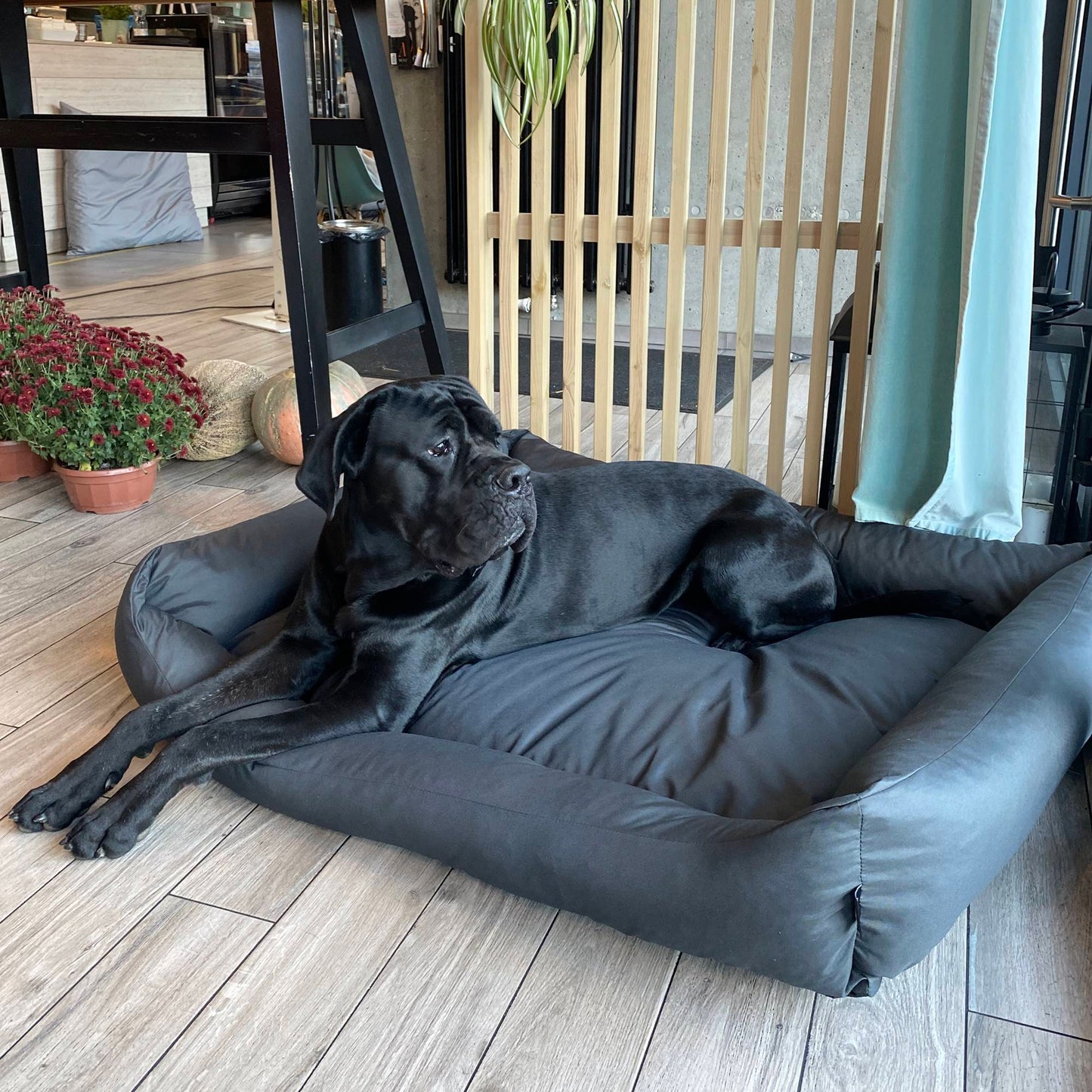 KOKO Wasserabweisendes Hundebett