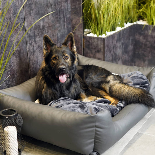 MARIO Hundebett aus Kunstleder