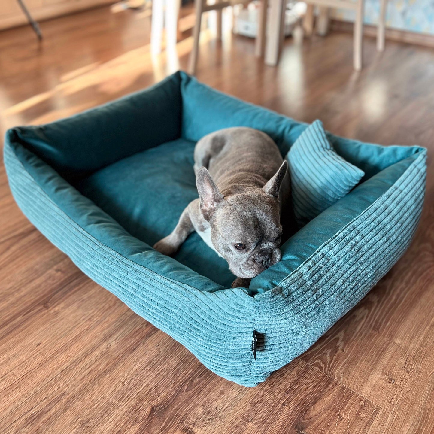 MOLLY Hundebett aus Cord