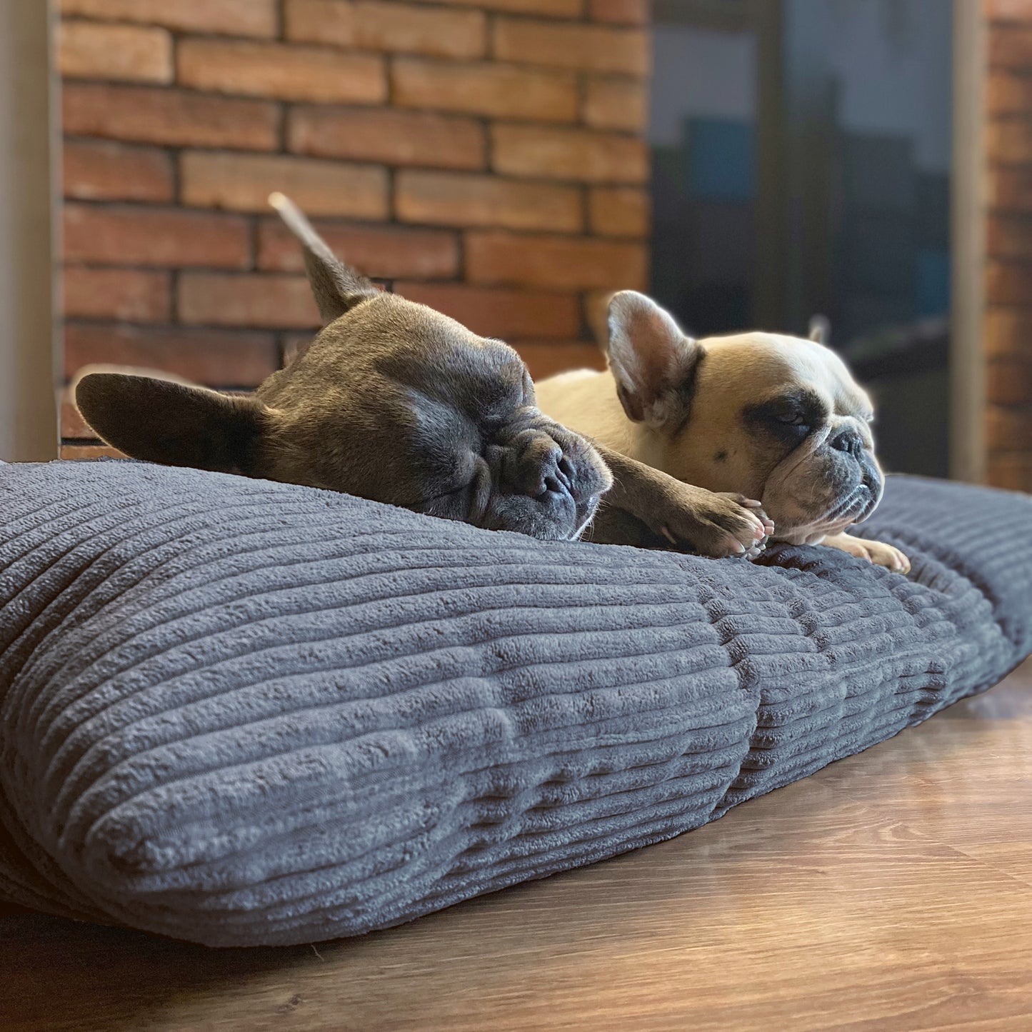 MOLLY Hundekissen aus Cord mit Bezug