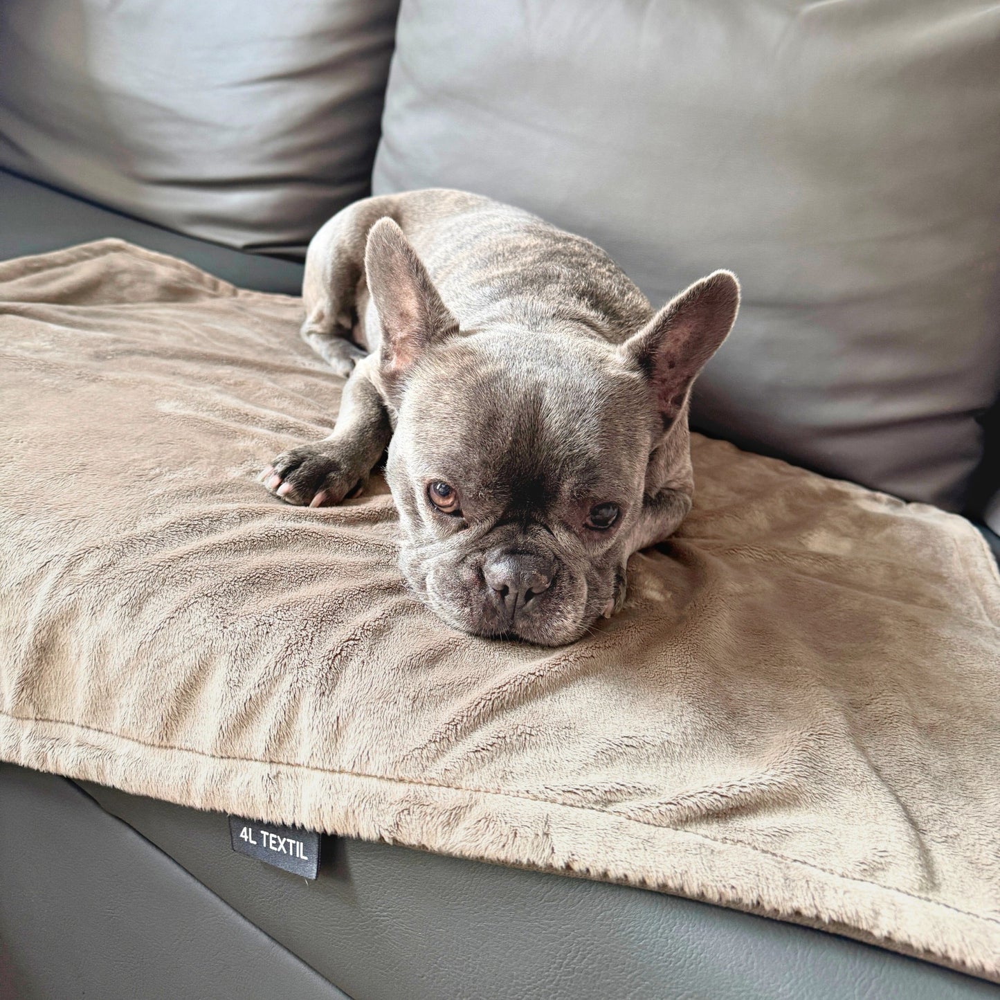 Kuschelige Decke für Hunde oder Katzen