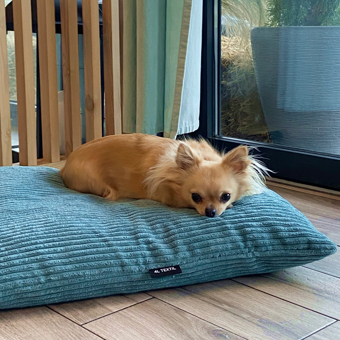 MOLLY Hundekissen aus Cord mit Bezug