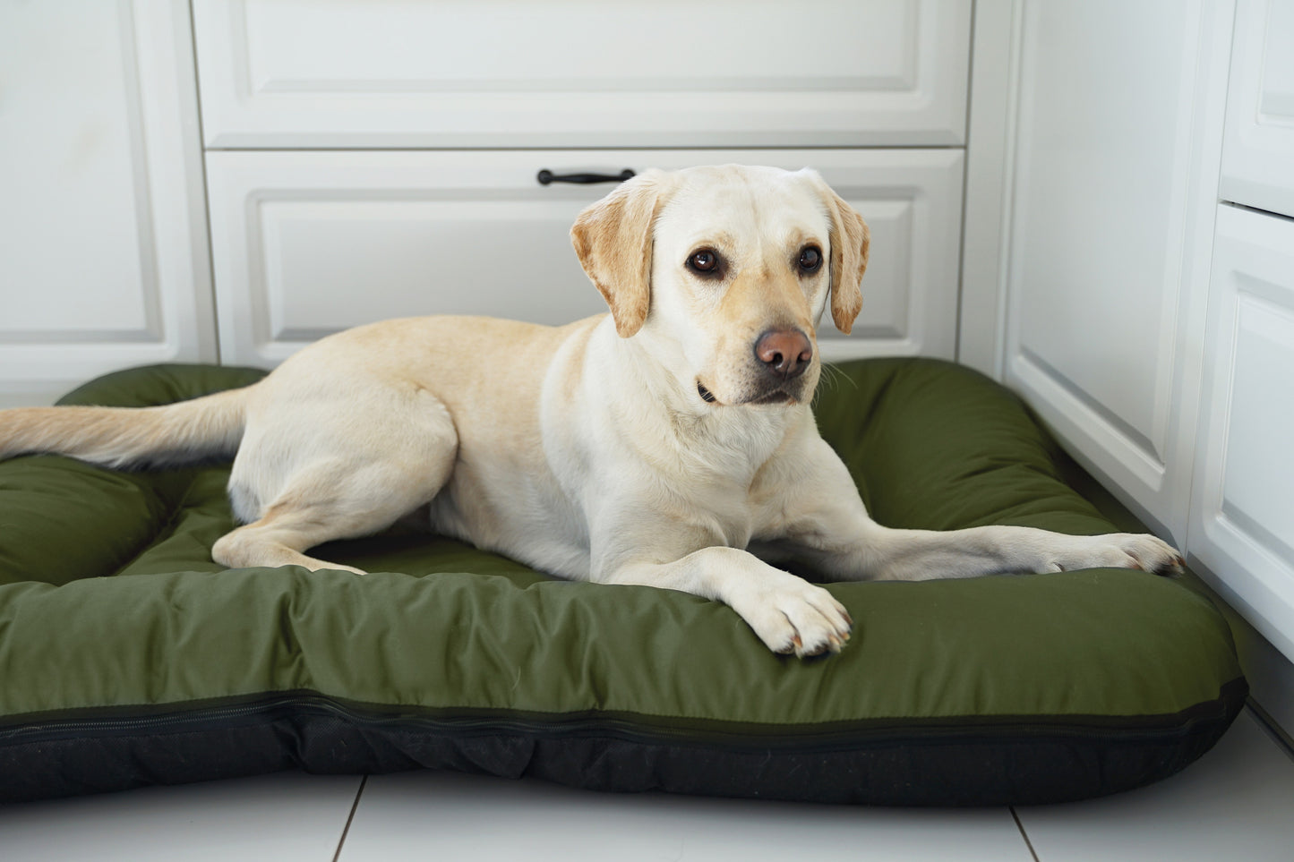 KLEO Wasserdichtes Hundebett
