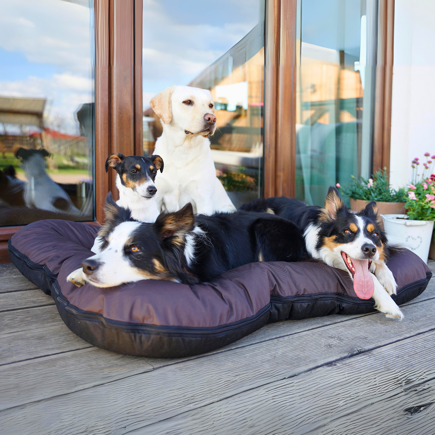 KLEO Wasserdichtes Hundebett