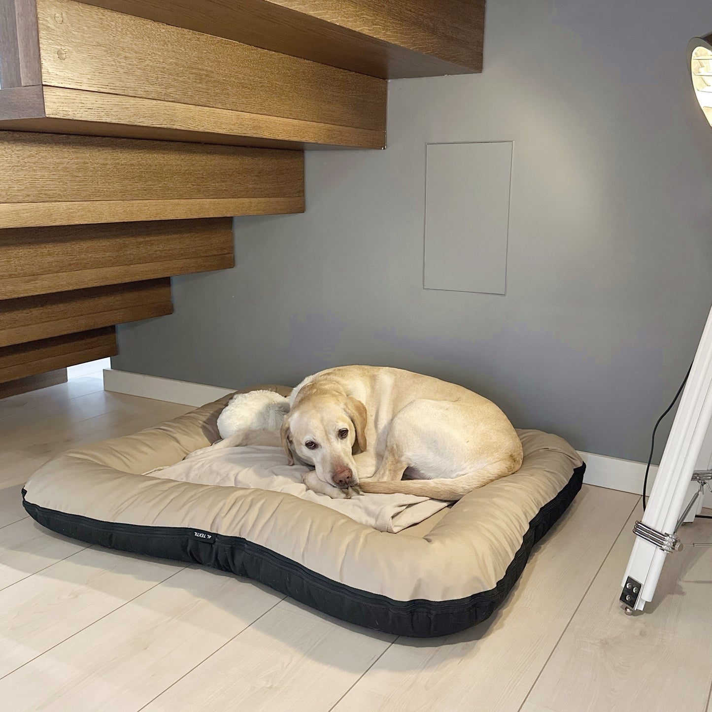 KLEO Wasserdichtes Hundebett
