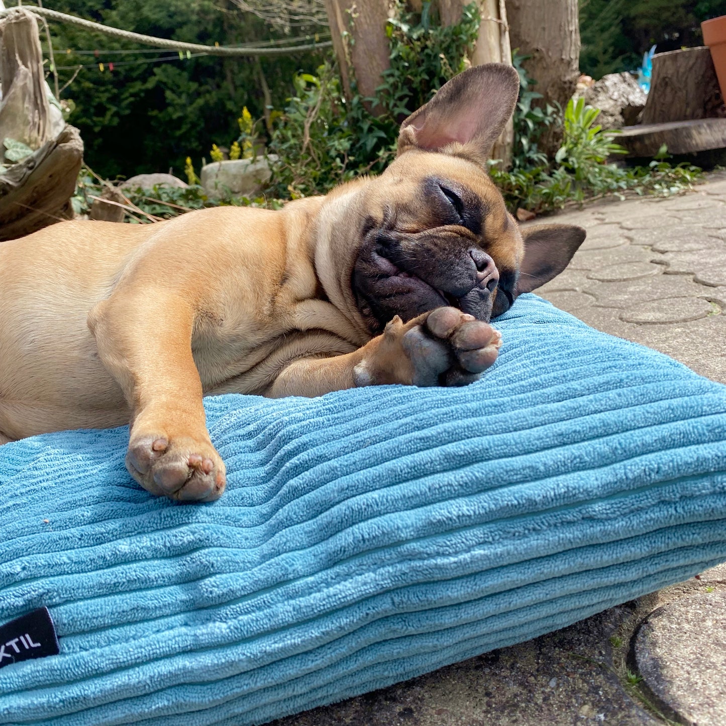 MOLLY Hundekissen aus Cord mit Bezug