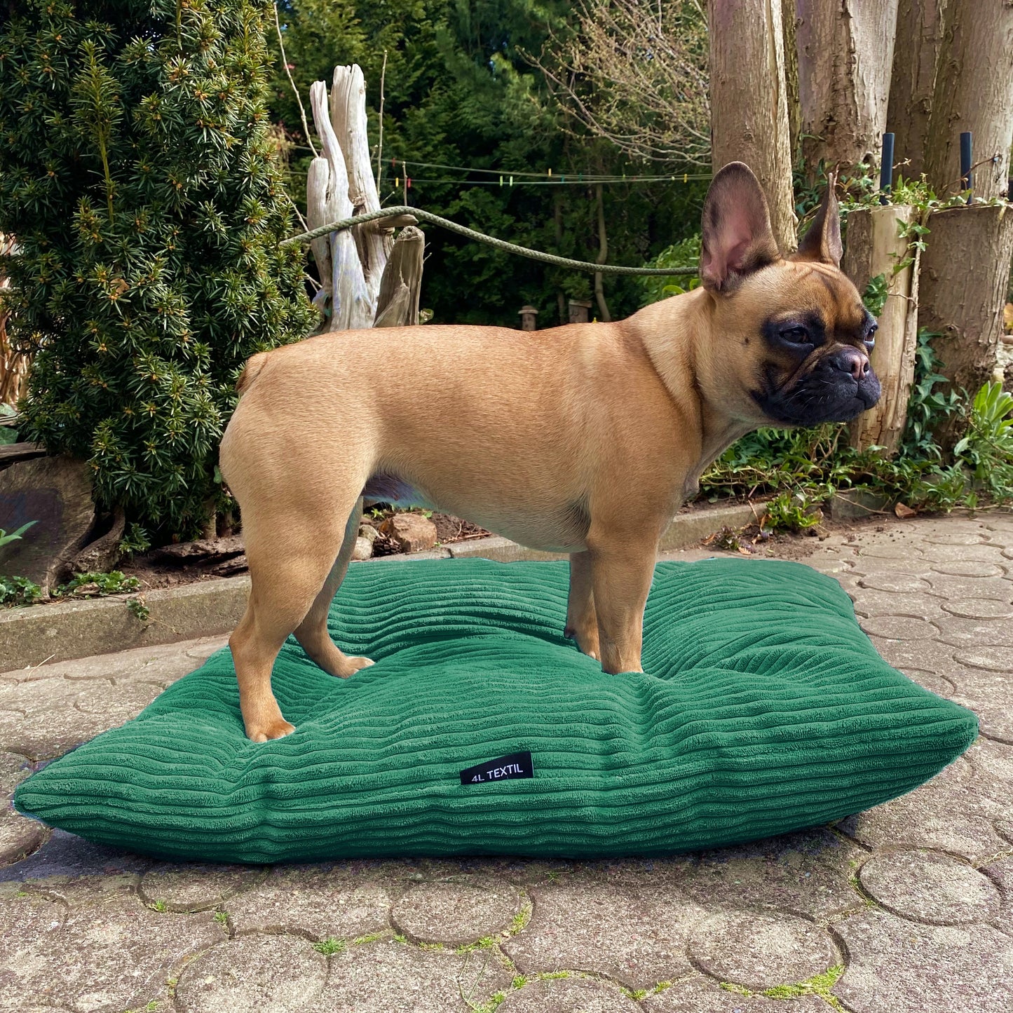 MOLLY Hundekissen aus Cord mit Bezug