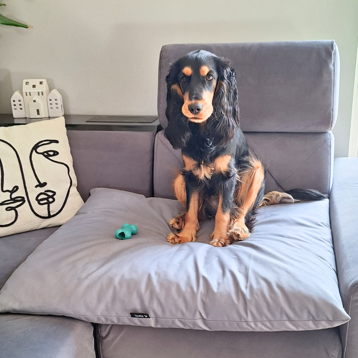 ZOE Wasserabweisendes Hundekissen mit Bezug