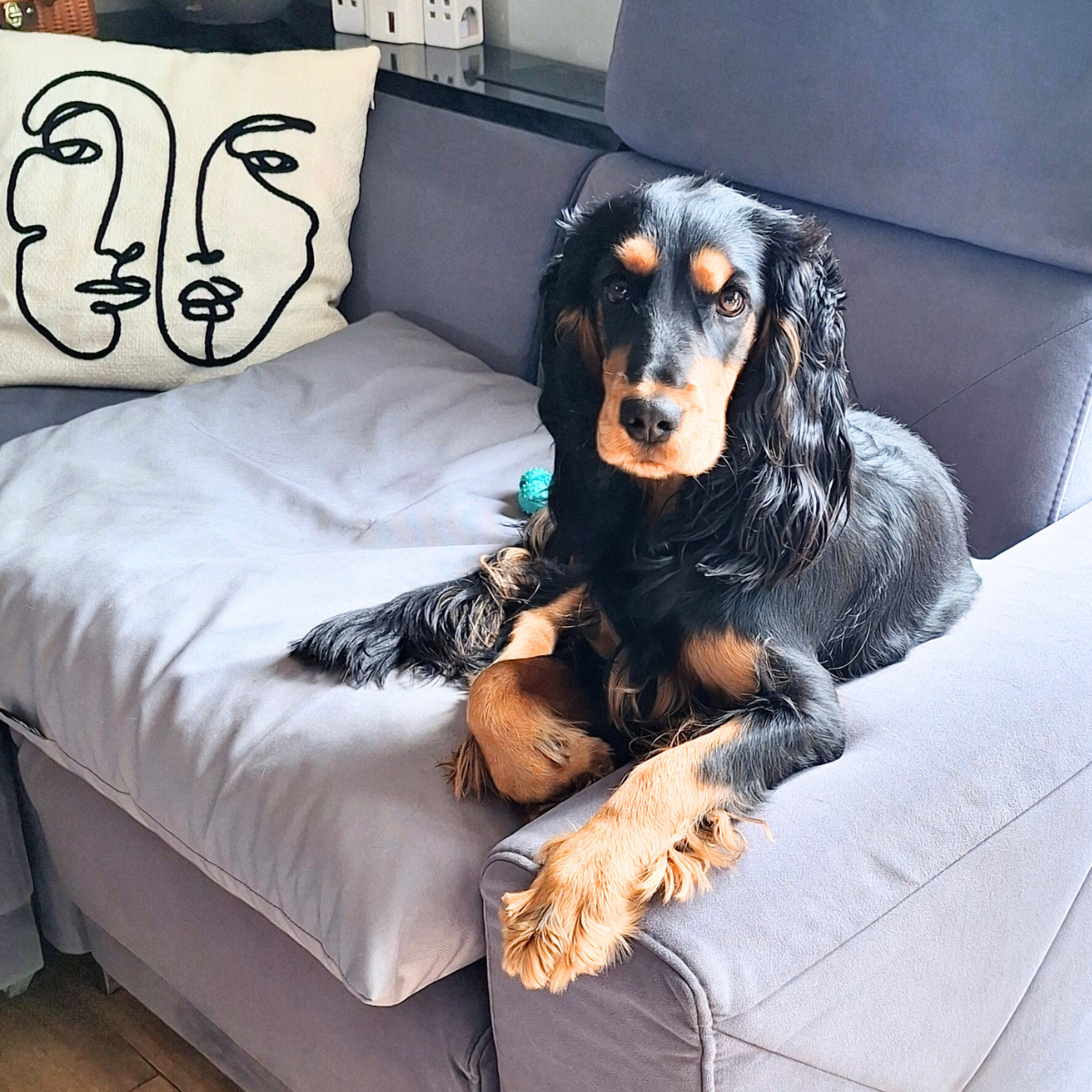ZOE Wasserabweisendes Hundekissen mit Bezug