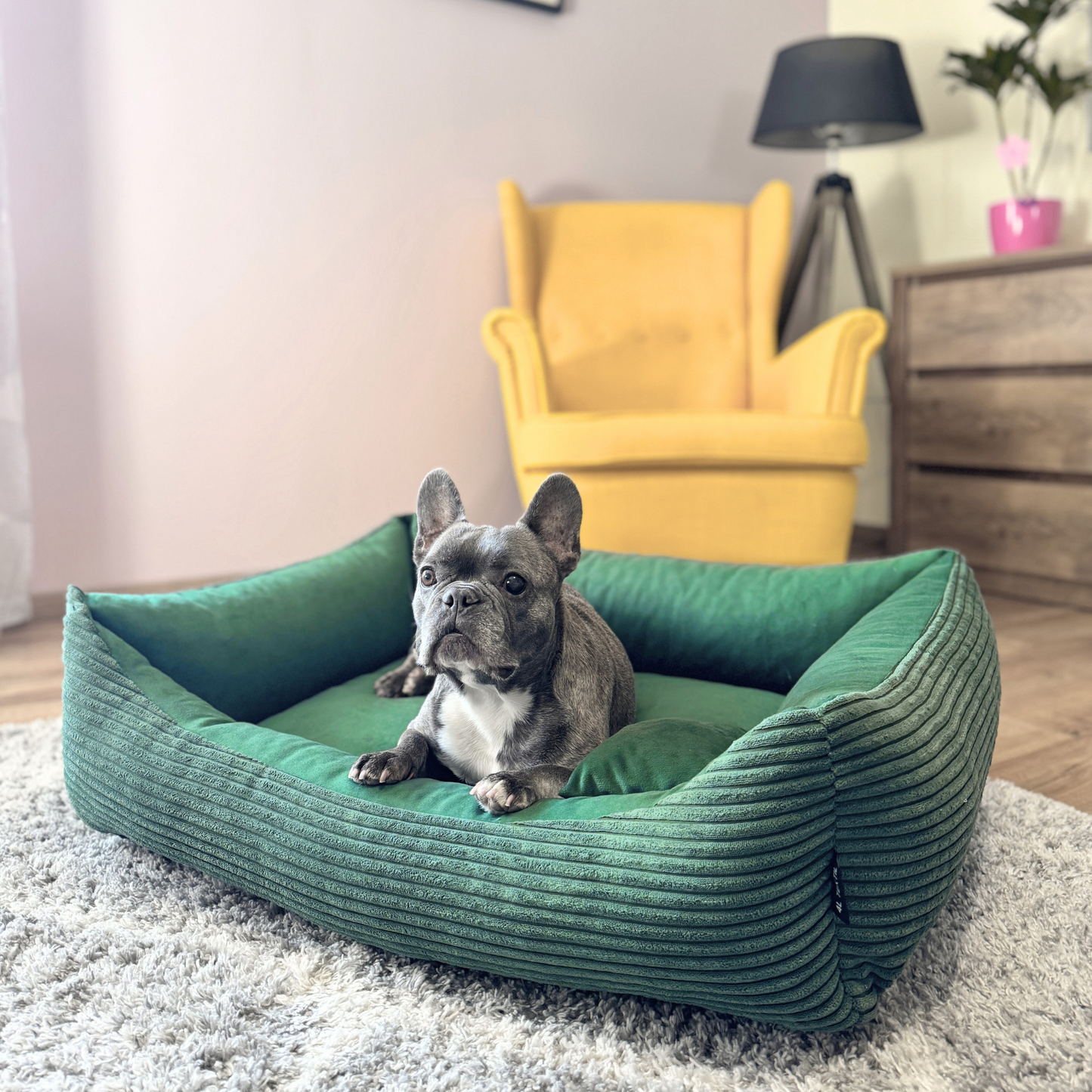 MOLLY Hundebett aus Cord