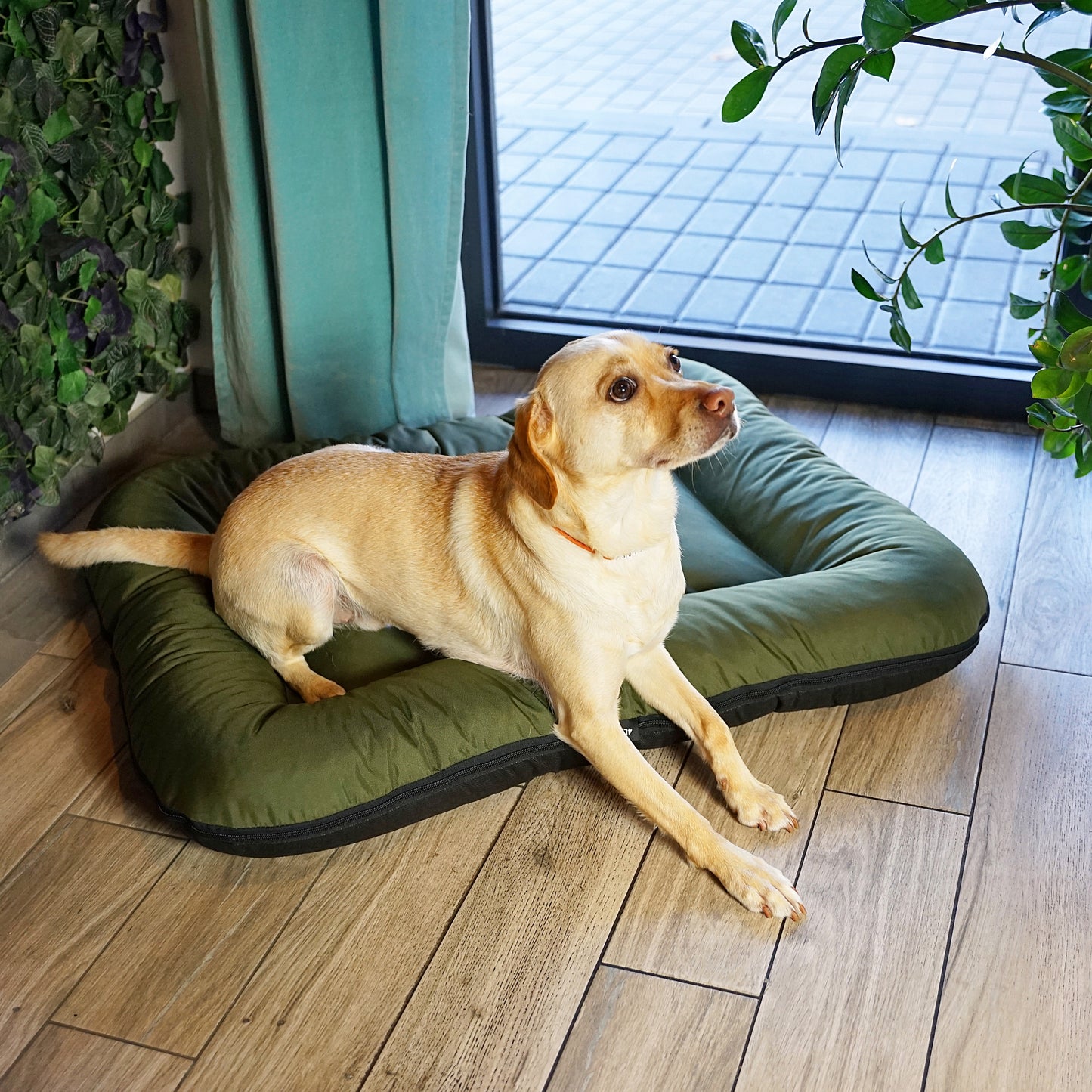 KLEO Wasserdichtes Hundebett